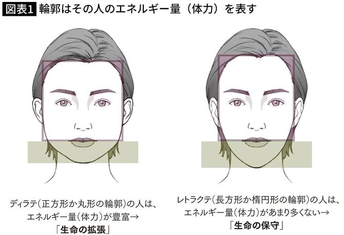 輪郭はその人のエネルギー量（体力）を表す