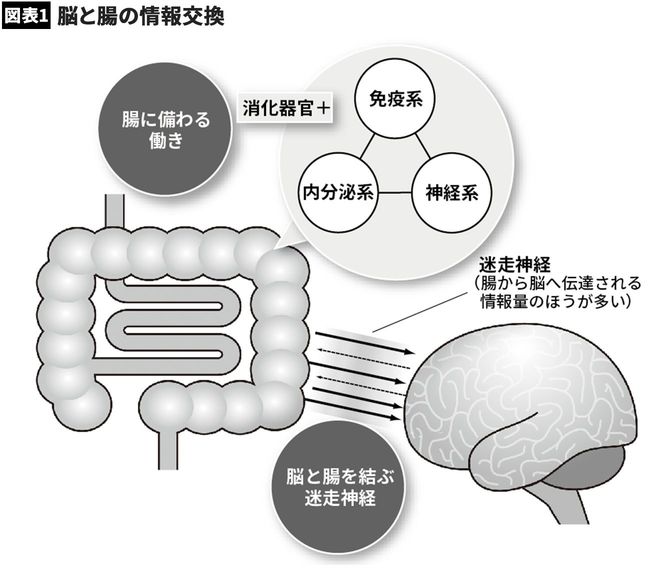 【図表1】脳と腸の情報交換