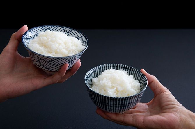 ごはん