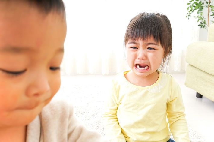 ※写真はイメージです