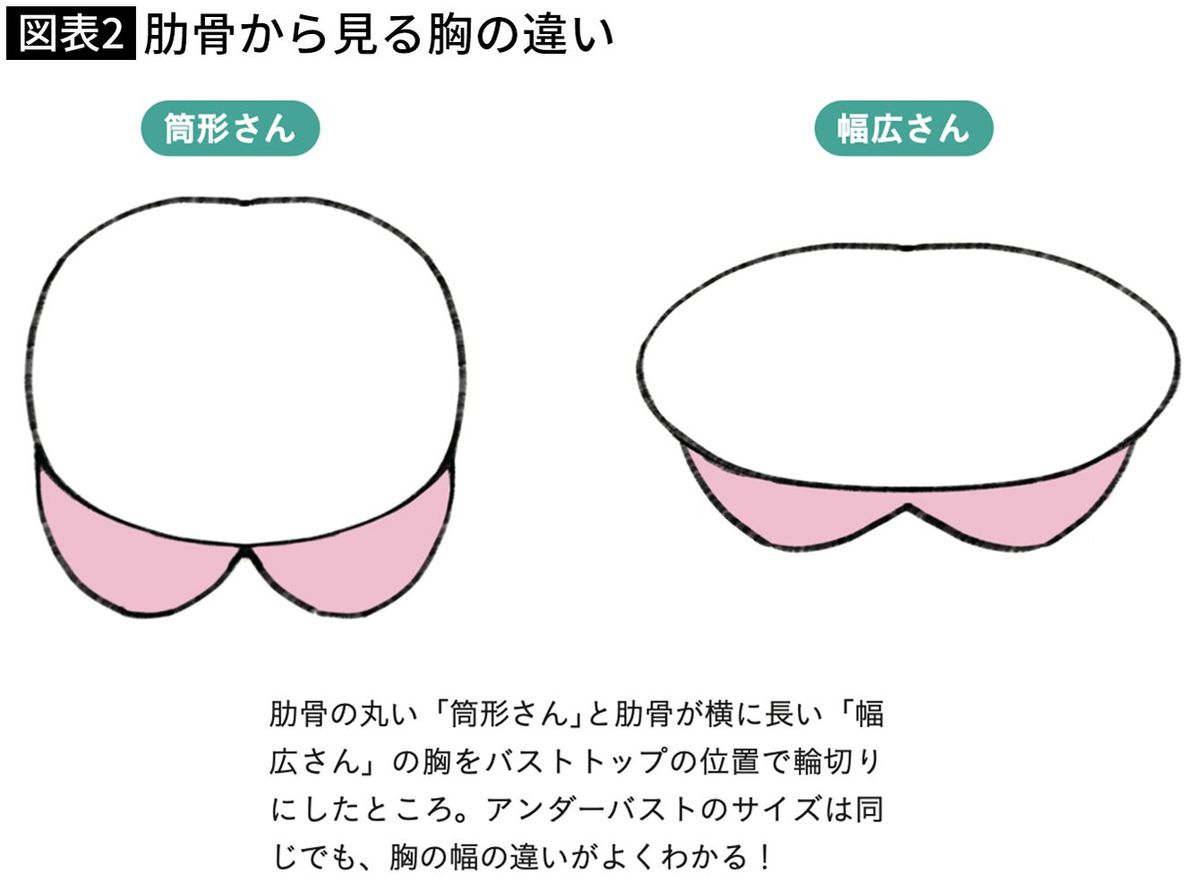 【図表】肋骨から見る胸の違い