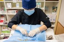 毎年2万匹の猫が殺処分されている…野良猫の命を守るため獣医師がマンションの一室で続けていること