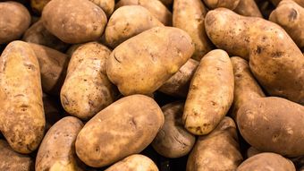 このままでは国産｢肉じゃが｣が食べられなくなる…アメリカ産生食用ジャガイモ輸入解禁の最悪シナリオ