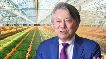 倒産寸前→年商132億円の大逆転…広島の農園2代目が反対を押し切り作った"当時誰も知らなかった野菜"の名前
