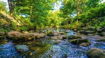 外国人でも簡単に｢日本の水｣を支配できる…全国各地で着々と進む｢中国人による森林買収｣の二大リスク