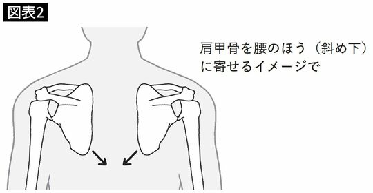 肩甲骨を腰の方に寄せるイメージ