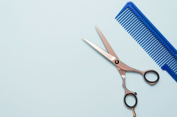 櫛とハサミ