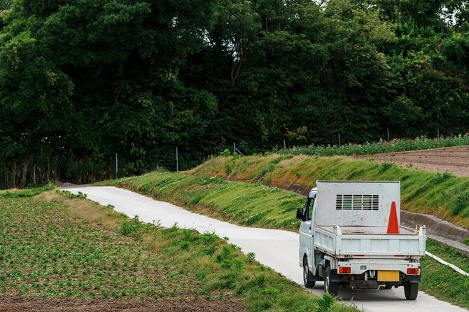 田舎の農道を走るトラックと農場の風景