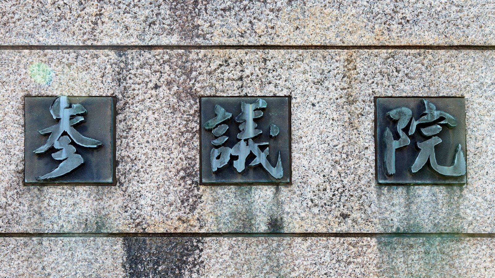 野党からも批判噴出｢れいわローテーション｣に"当事者"は何を思うのか　長谷川ういこ氏が語る｢本音｣ 全国比例で落選した5人がローテーションで務めると発表