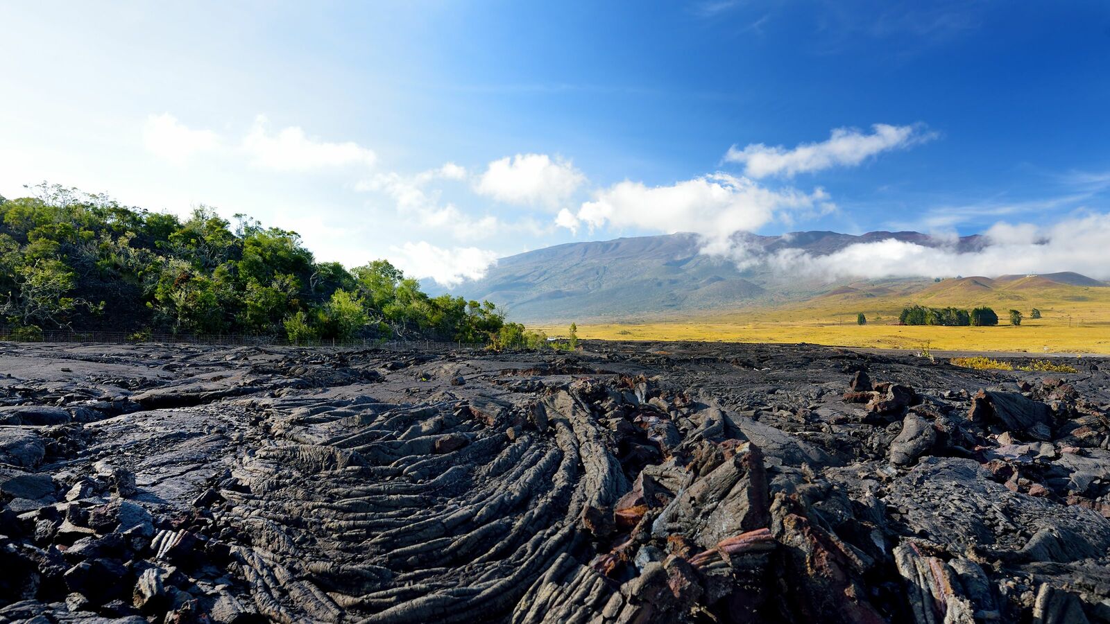 専門家も｢プライベートでは訪れたくない｣世界でもっとも危険な火山はどこ? 38年ぶりにマウナロアが噴火