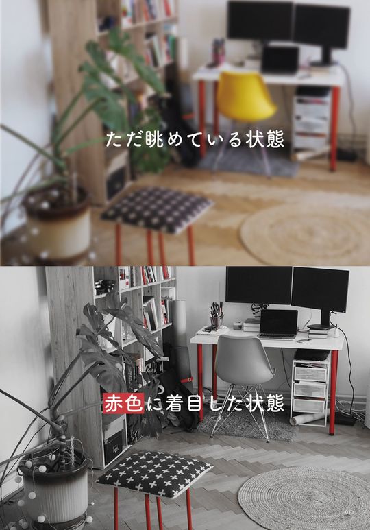 「赤色」に着目したときに見える世界