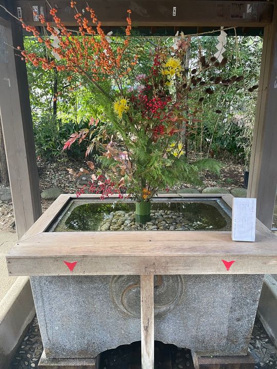 大雪の花手水（赤坂氷川神社）