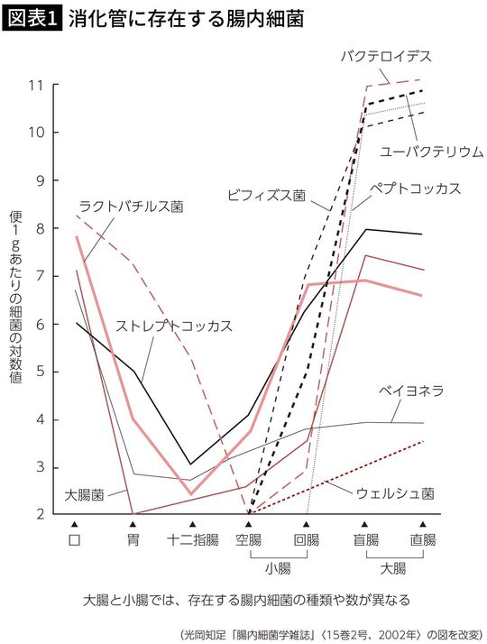 【図表1】消化管に存在する腸内細菌