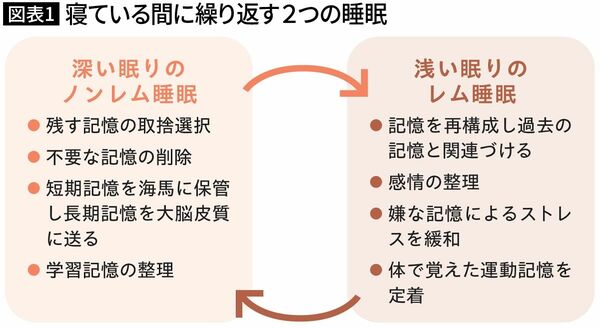 【図表1】寝ている間に繰り返す2つの睡眠