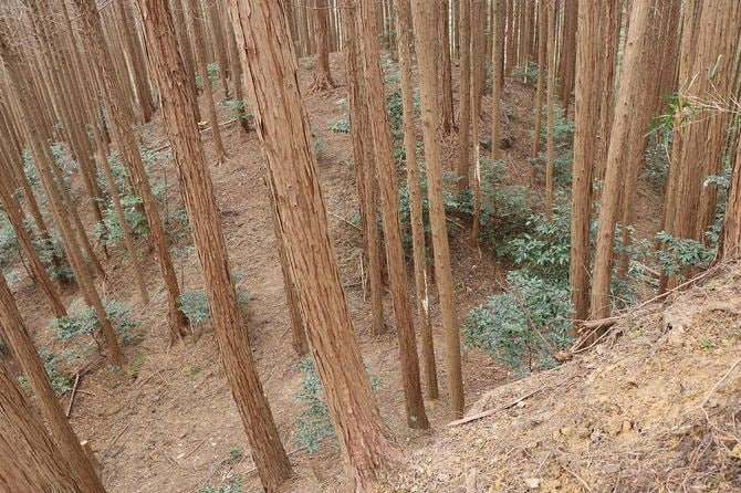 直下に見下ろすとこの急角度