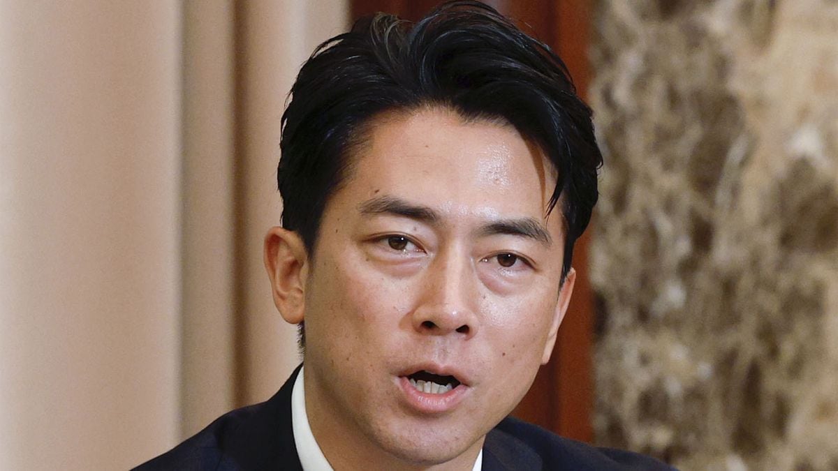 小泉 進次郎 総理 に なっ たら