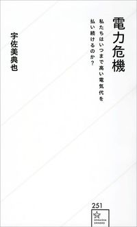 宇佐美典也『電力危機』（星海社新書）