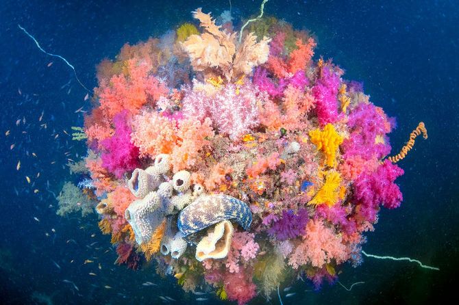 2026佳作（1）「海からの贈り物」矢代麻美さん