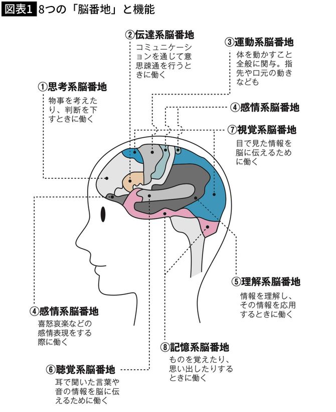 出典＝加藤俊徳『45歳から頭が良くなる脳の強化書』（プレジデント社）