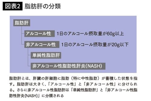脂肪肝の分類