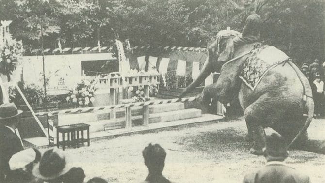 人を背中に乗せ神具の前でひざまずくゾウ