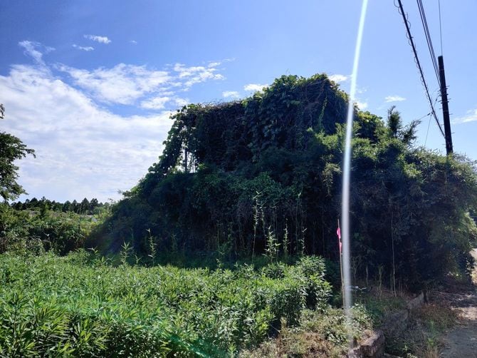 分譲地内に放置されている空き家