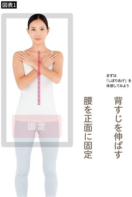 【図表1】背すじを伸ばす 腰を正面に固定