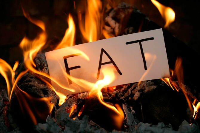 FAT（脂肪）の燃焼