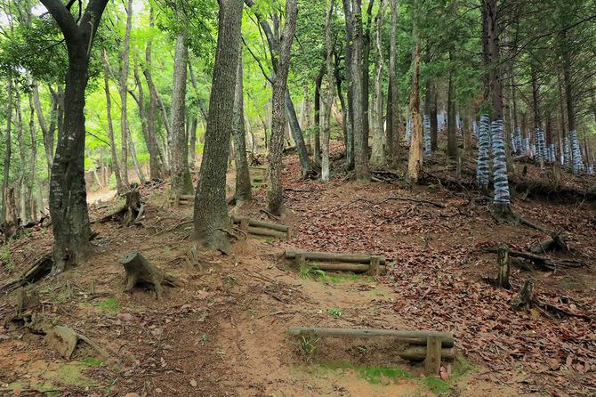 登山道の途上。城域ははるか先