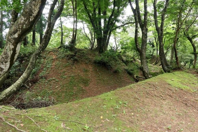 虎口郭の空堀。場所によっては鋭く折れた部分も