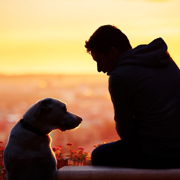 日の出を背景に犬と過ごす男性