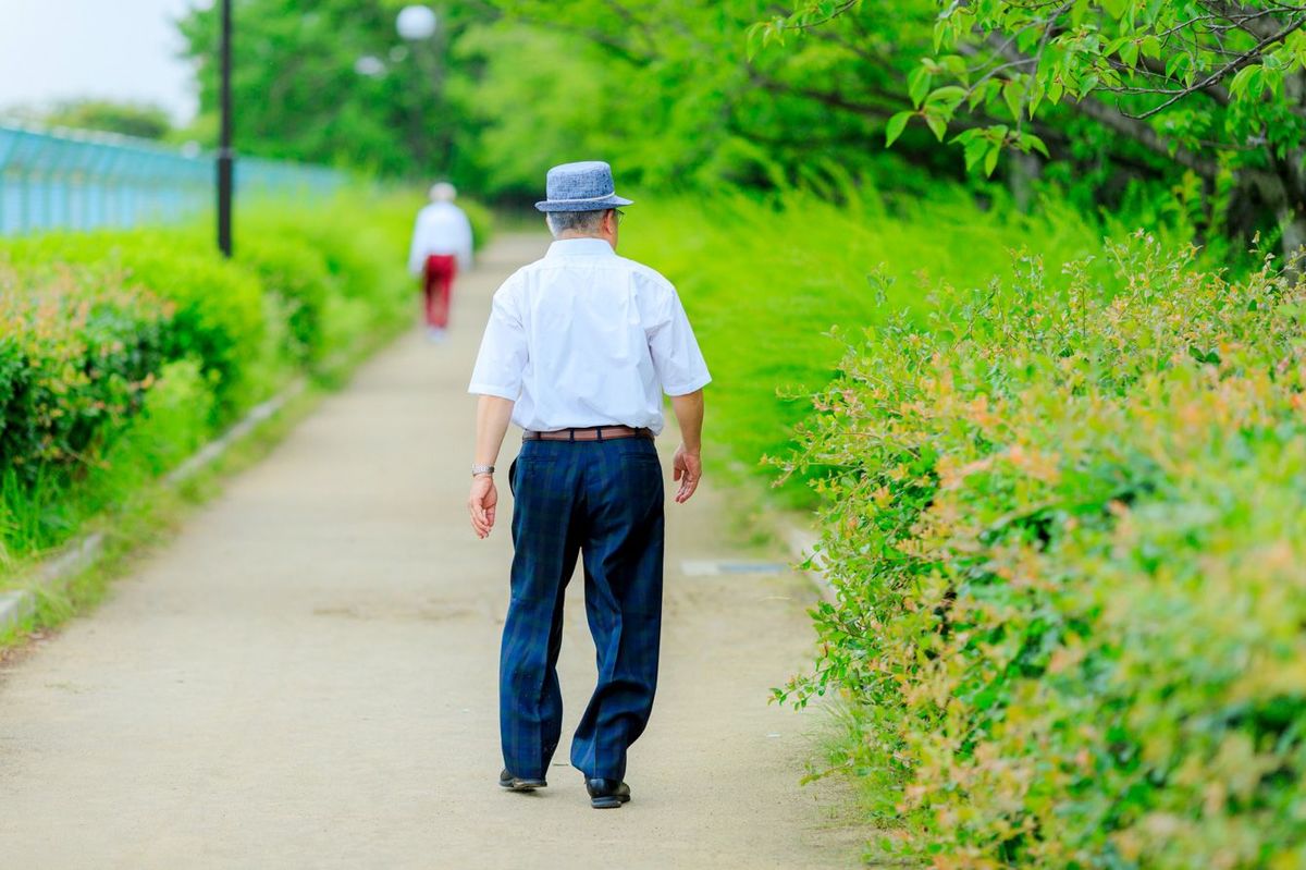 公園を散歩する高齢男性