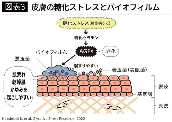 【図表3】皮膚の糖化ストレスとバイオフィルム