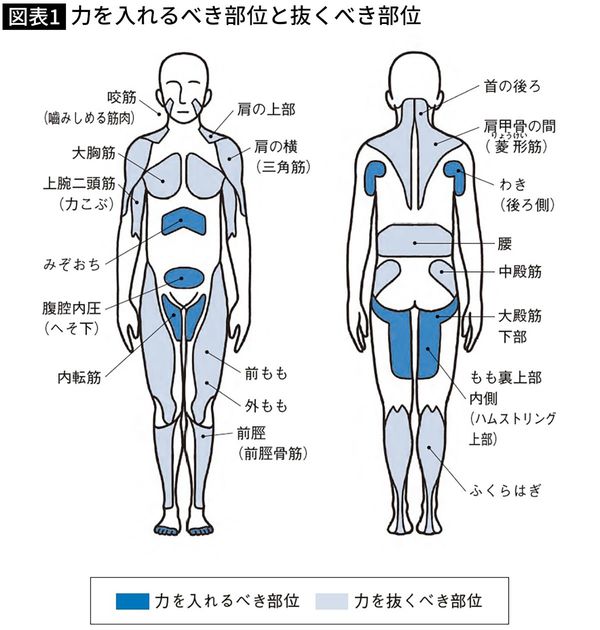 【図表】力を入れるべき部位と抜くべき部位