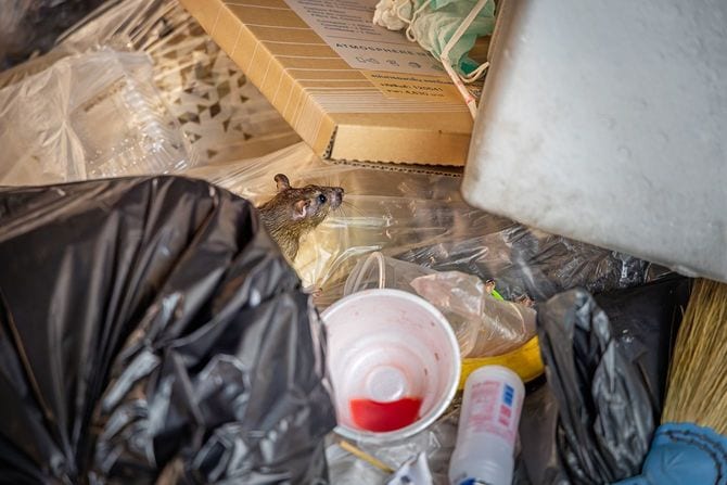 ゴミで埋め尽くされた部屋のイメージ