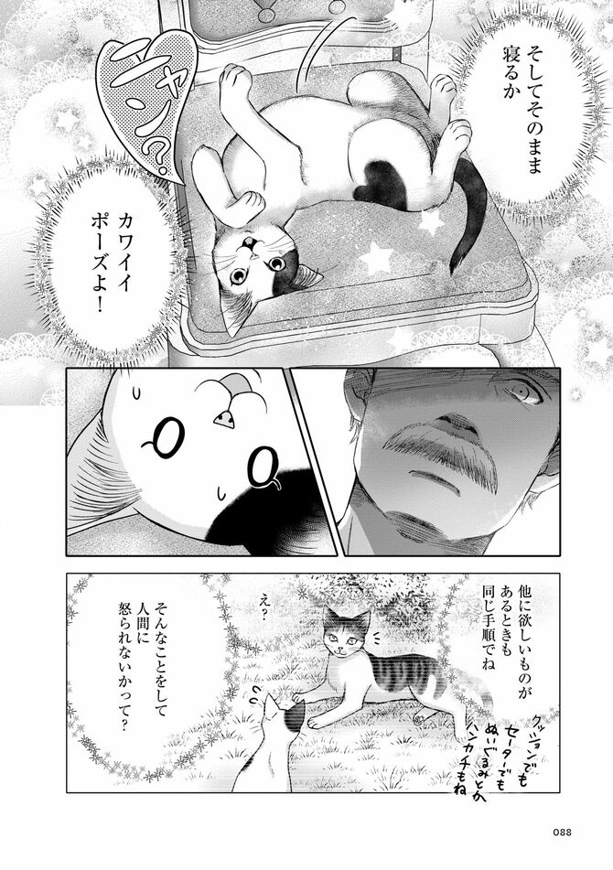 コミック『猫語の教科書』©沙嶋カタナ、ポール・ギャリコ／KADOKAWA