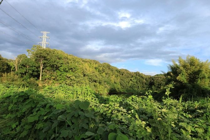 右奥が平井村中村間ノ山付城