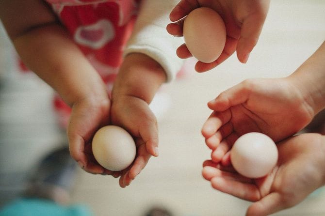 手にのせたニワトリの卵