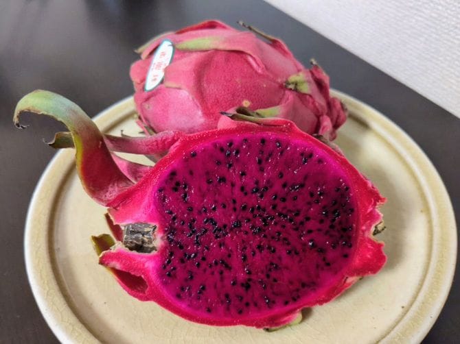 上間さんの栽培したドラゴンフルーツ