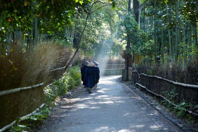 京都の竹林の道を歩く僧侶