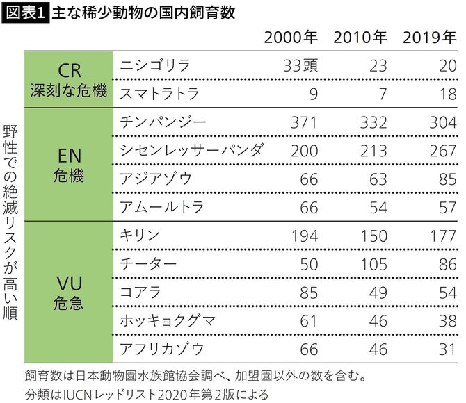 【図表1】主な稀少動物の国内飼育数