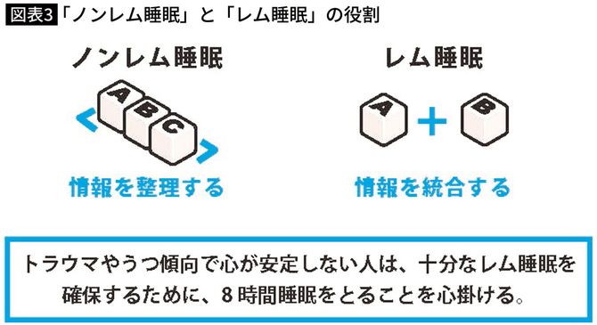 「ノンレム睡眠」と「レム睡眠」の役割