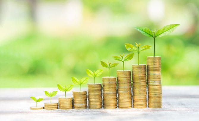 積みあがるコインに応じて育つ青葉