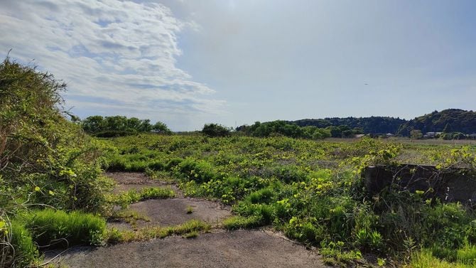 分譲地の中は、使われている区画は一つもない。すべて造成当時から今に至るまで更地のままだ。