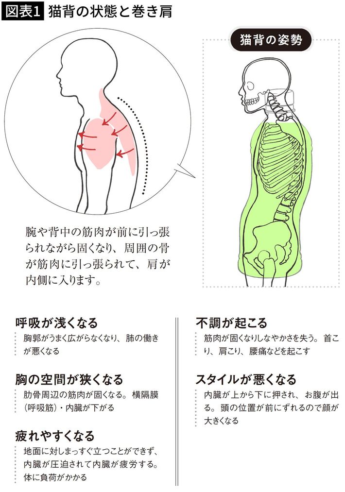 出所＝『<a href="https://www.amazon.co.jp/exec/obidos/ASIN/4833424738/presidentjp-22" target="_blank">背中をゆるめると健康になる</a>』