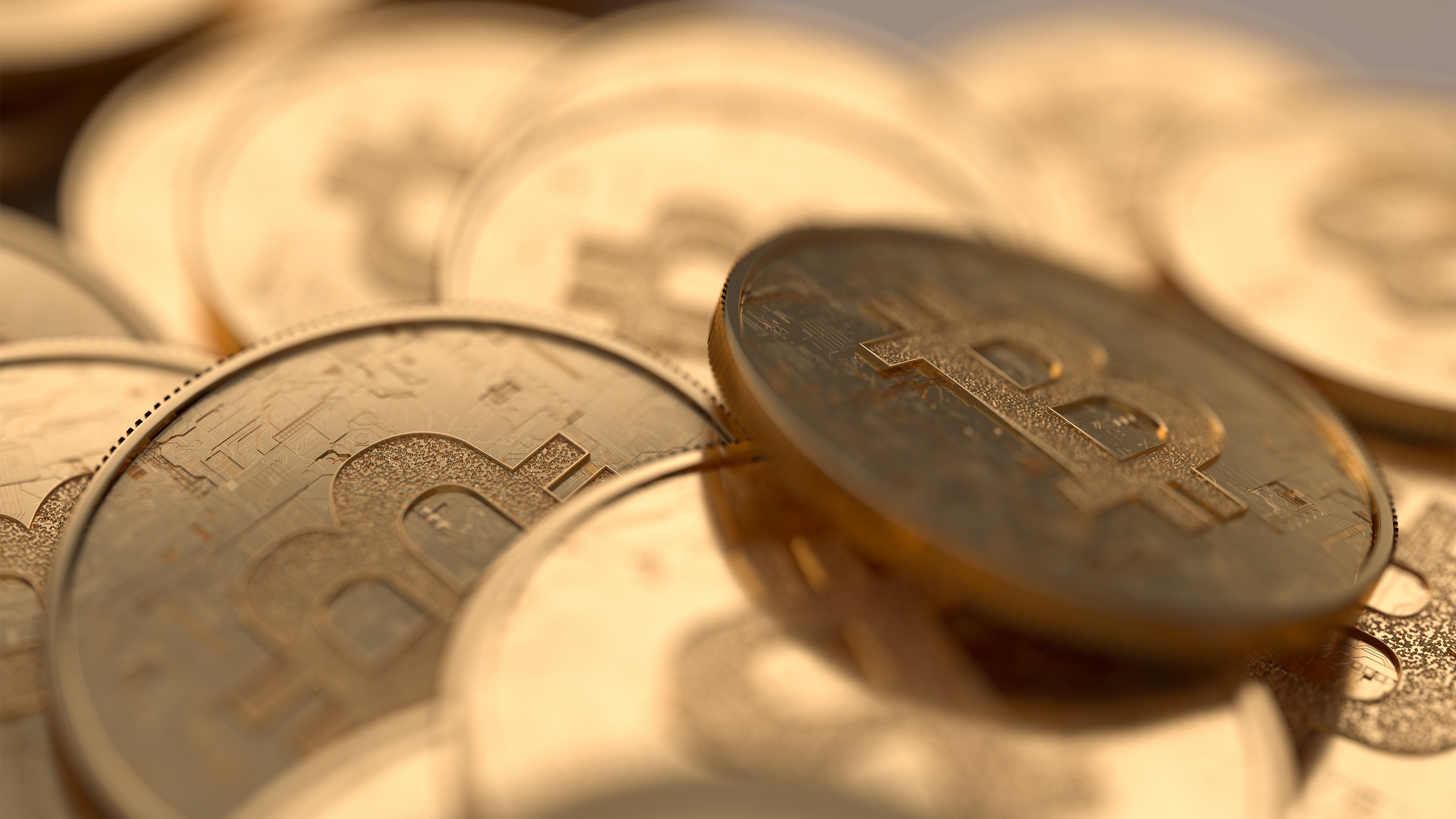 【新品】ビットコイン・スタンダード:お金が変わると世界が変わる ビットコイン・スタンダード:お金が変わると世界が変わる | S