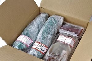 「おまかせ鮮魚BOX」の一例。魚は下処理が済んだ状態で、お勧めの食べ方なども記されている