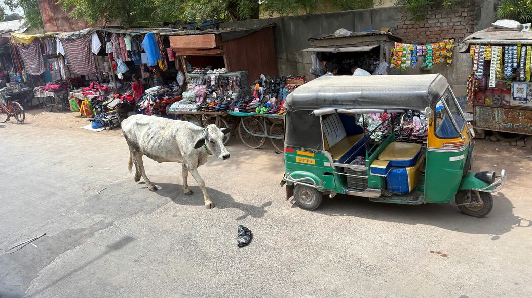 1日100トンの牛糞をバイオガスに…原油急騰のインドに軽自動車の神･鈴木修が残したとんでもない置き土産