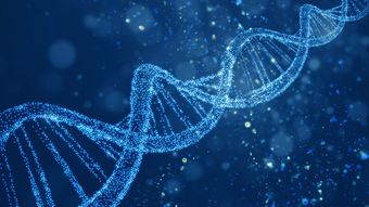 ｢老化は病気だから治療できる｣と世界が言い始めたワケ