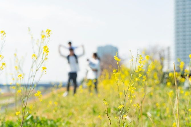 春の河川敷を歩く親子